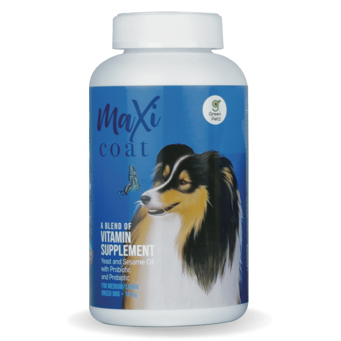 Maxi coat สุนัขพันธุ์กลาง-ใหญ่