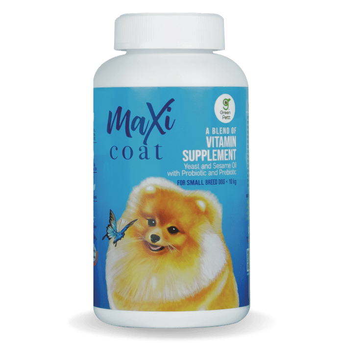 Maxi coat สุนัขพันธุ์เล็ก