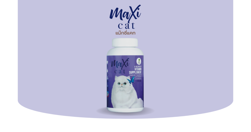 Coverpage Maxi Cat