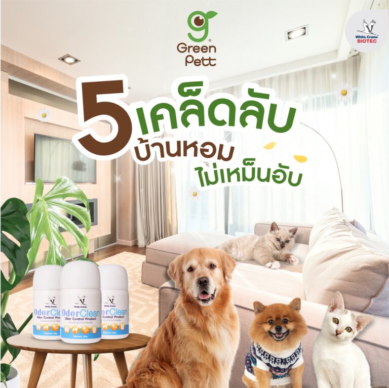 5 เคล็ดลับบ้านหอม ไม่เหม็นอับ