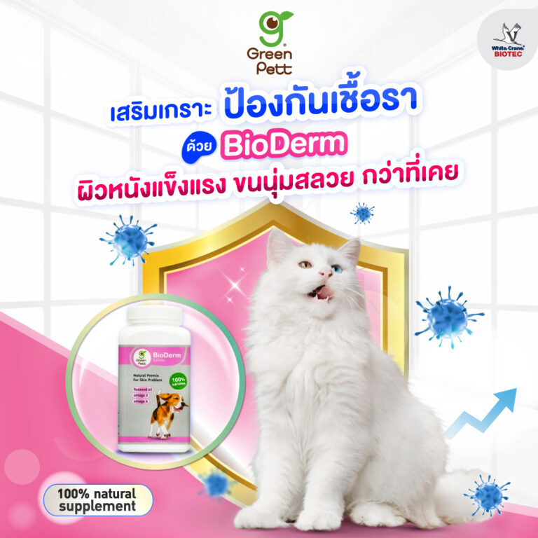 เสริมเกราะป้องกันเชื้อรา ด้วย  BioDerm